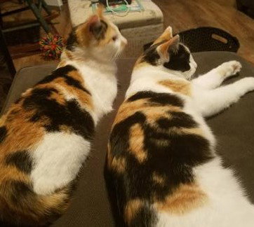 Eugenia & Mildred