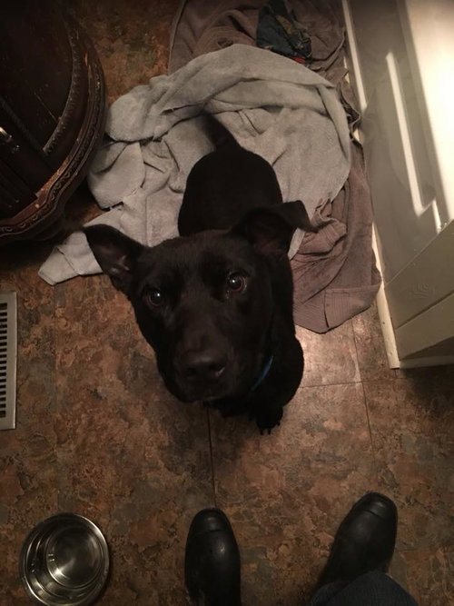 Benito