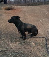 Benito