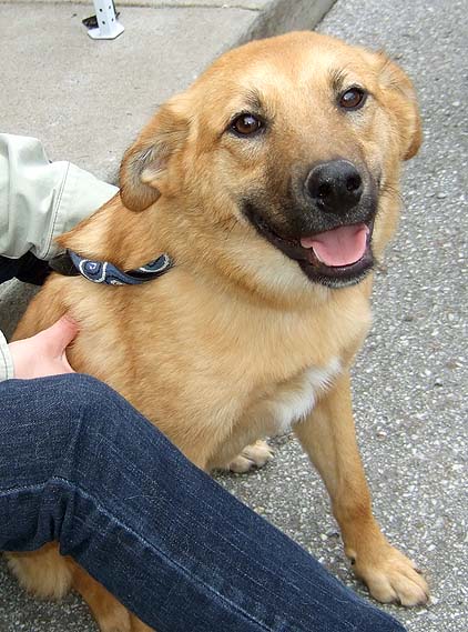 Shep