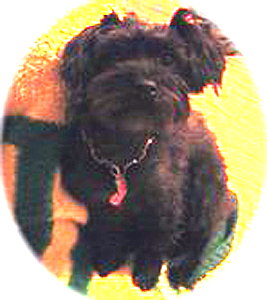 Lucy