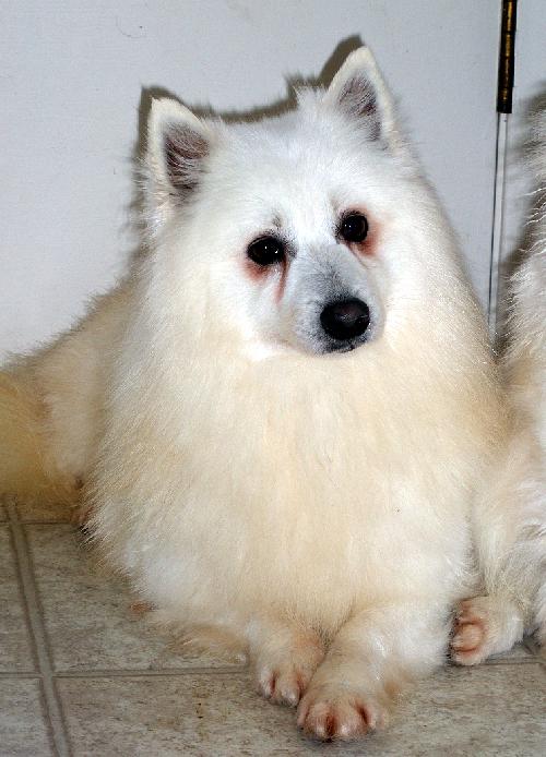 Klondike