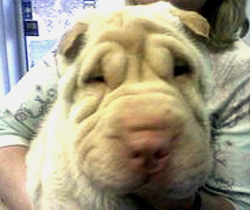 Fiona