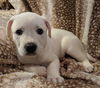 George