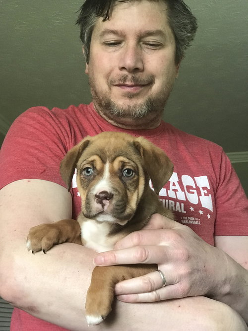 Bama