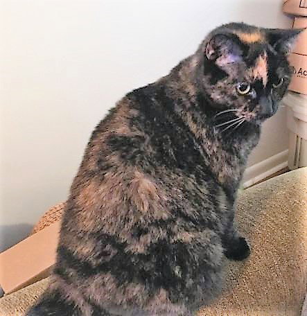 Mia