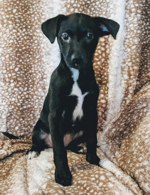 Ellie