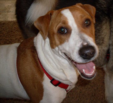 Bailey