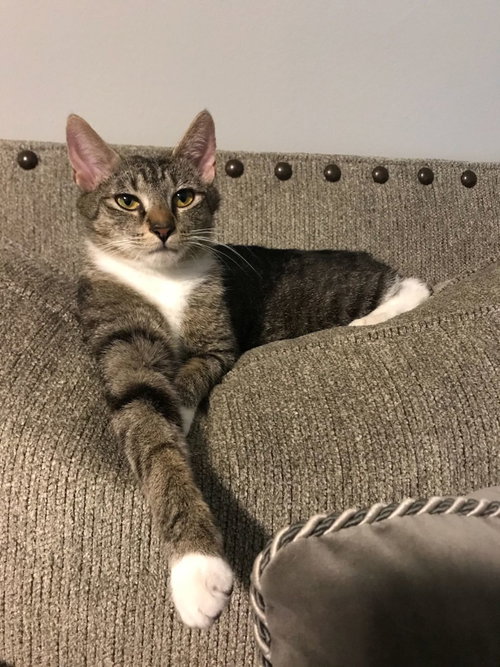 Kiara