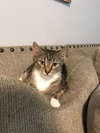 Kiara