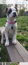 Ruby