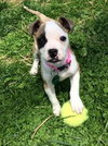 Ruby