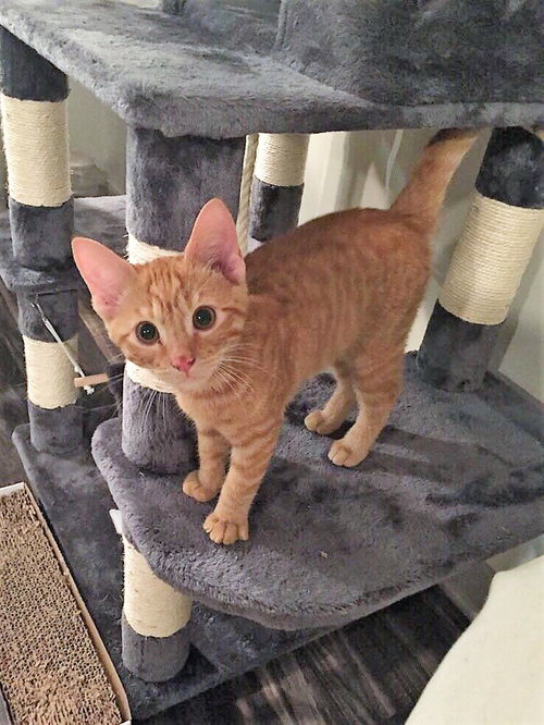 Milton