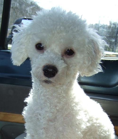Benny