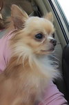 Romeo