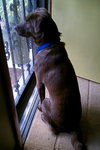 Rudy