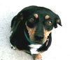 Maggie