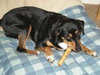 Maggie