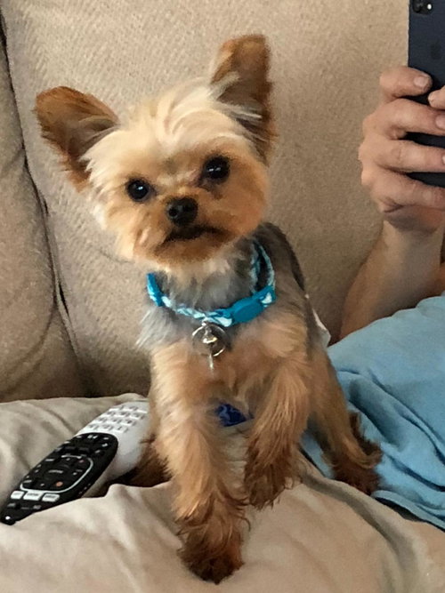 Braxton