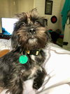 Huck