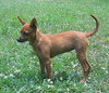Lilly