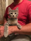Oliver