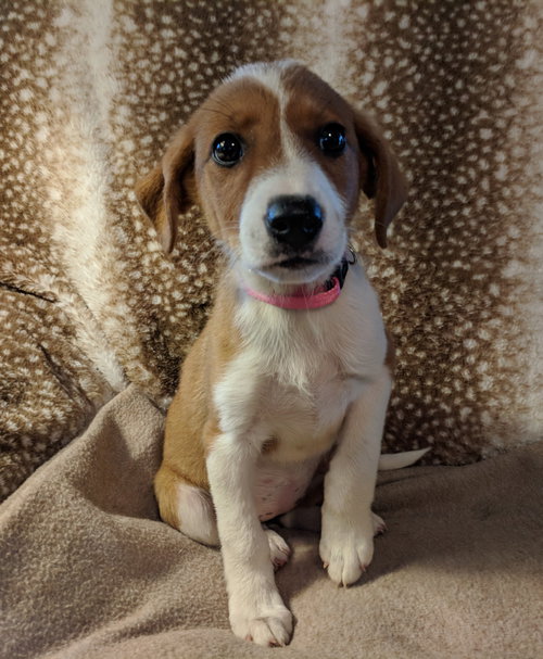 Ruby