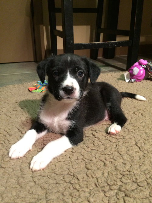 Benny