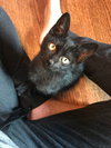 Pete