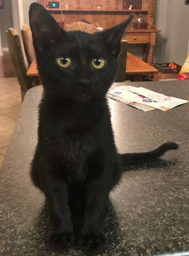 Pete