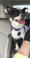 Maggie Mae