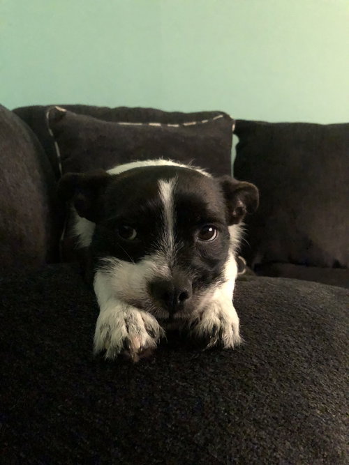 Maggie Mae