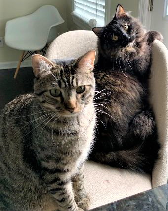 Rolo & Pez