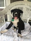 Max