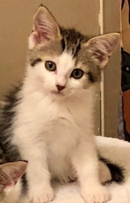 Ellie May