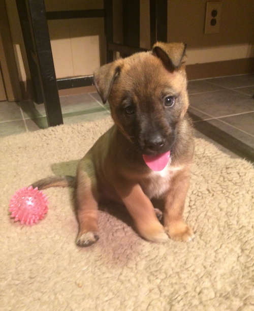 Duke