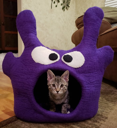 Pattycake
