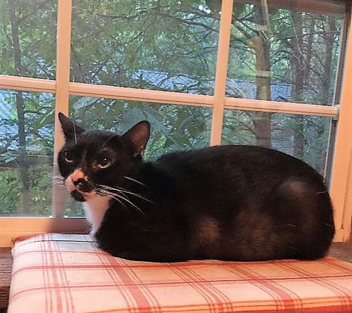 Eleanor