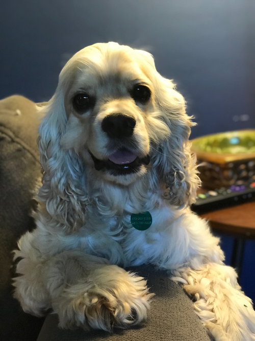 KC