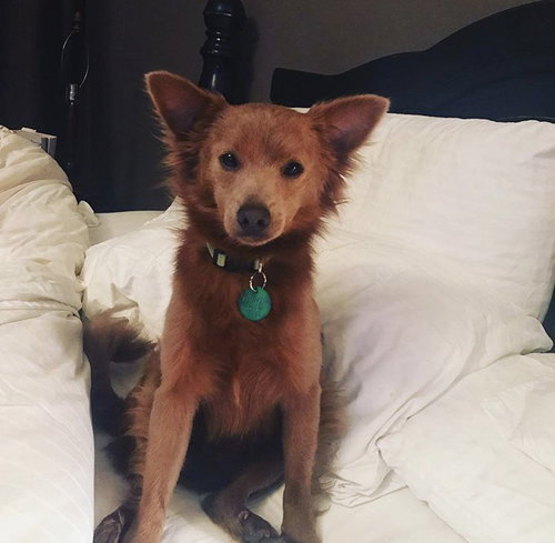 Roscoe
