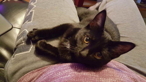 Matilda