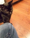 Matilda