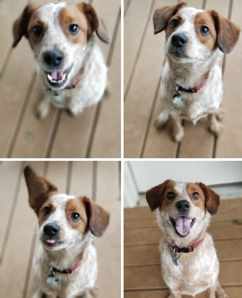 Cooper