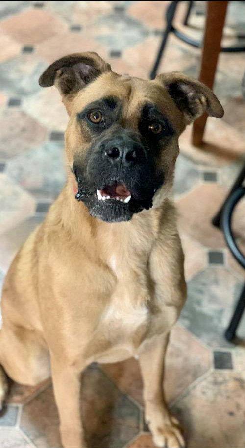 Bruce