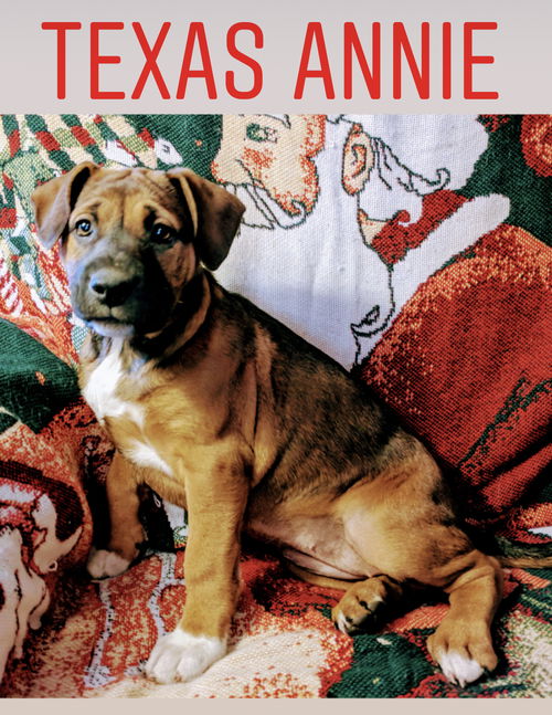 Texas Annie