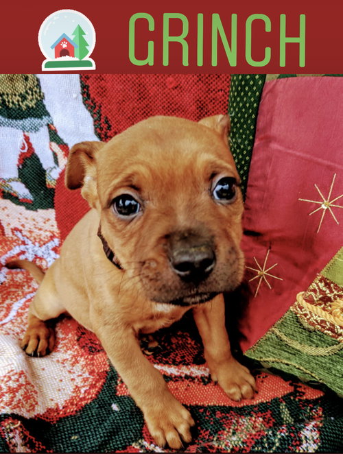 Grinch
