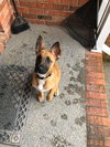 Keiko