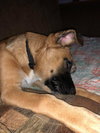 Keiko