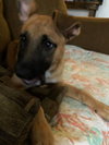 Keiko