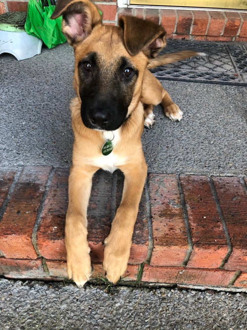 Keiko